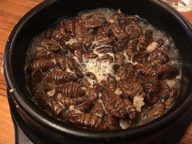 foto de gusanos de seda cocinados