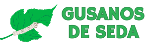 Gusanos de Seda